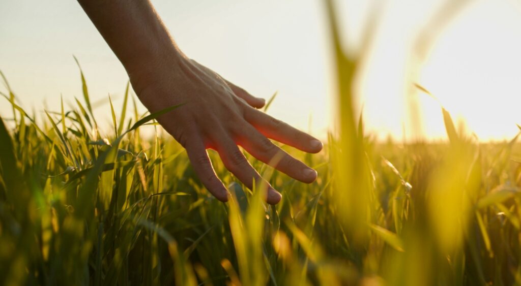 Someone touching grass.