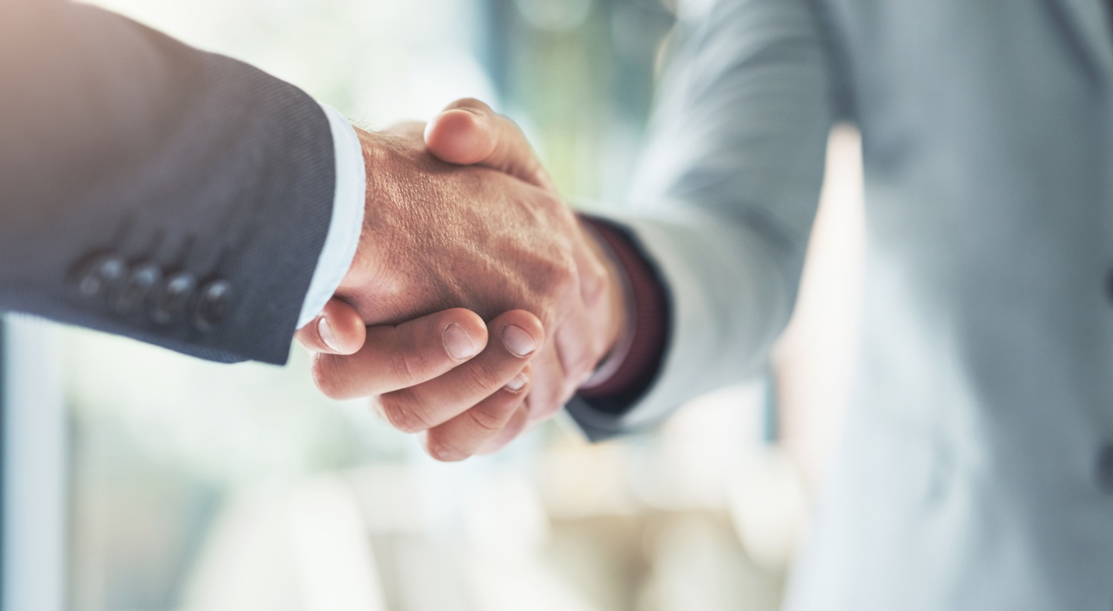 Two people shaking hands.