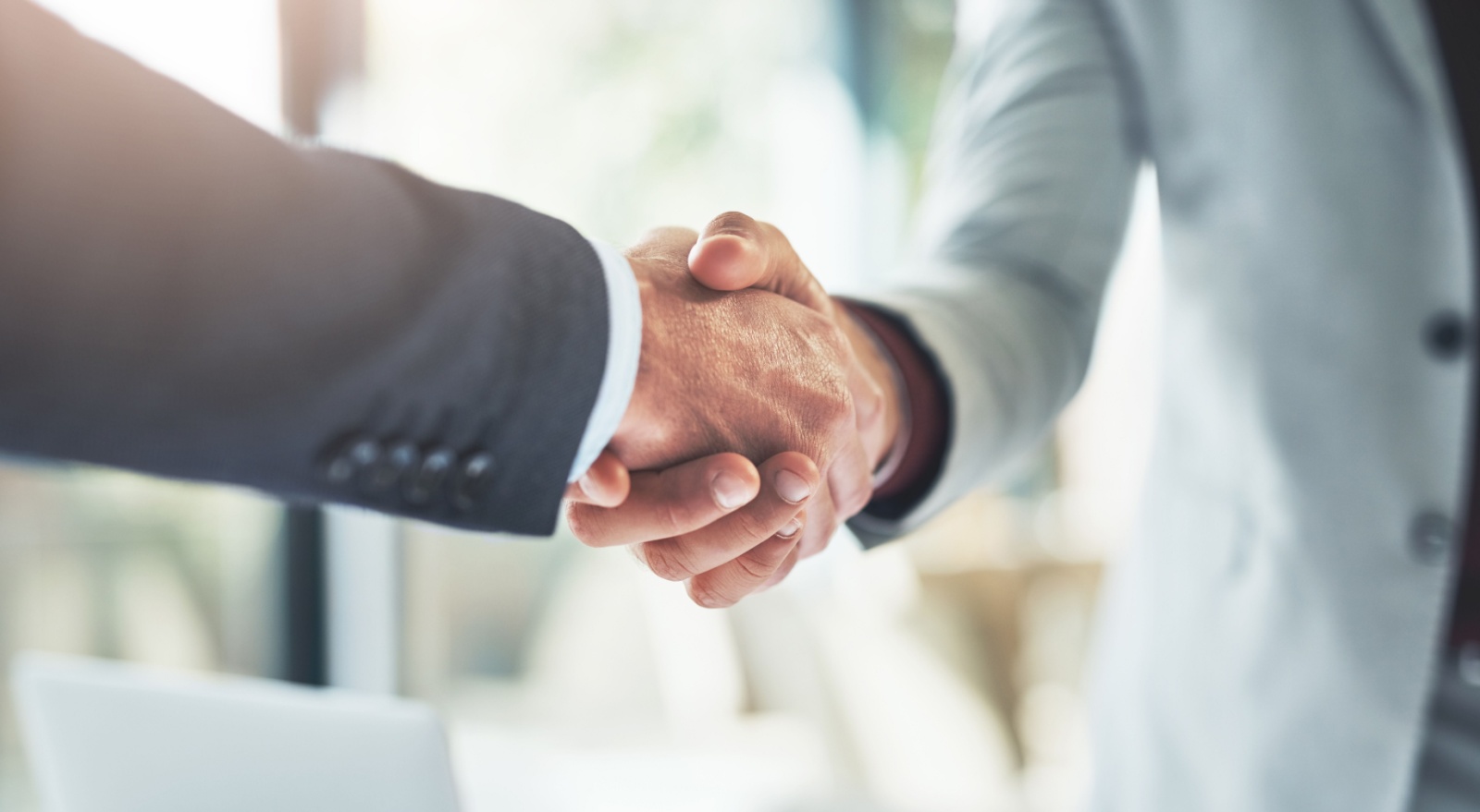Two people shaking hands.